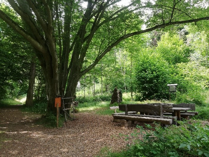  Arboretum - Foto privat 