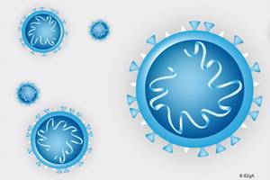 Positiv auf das Coronavirus getestete Personen werden nicht mehr routinemäßig kontaktiert
